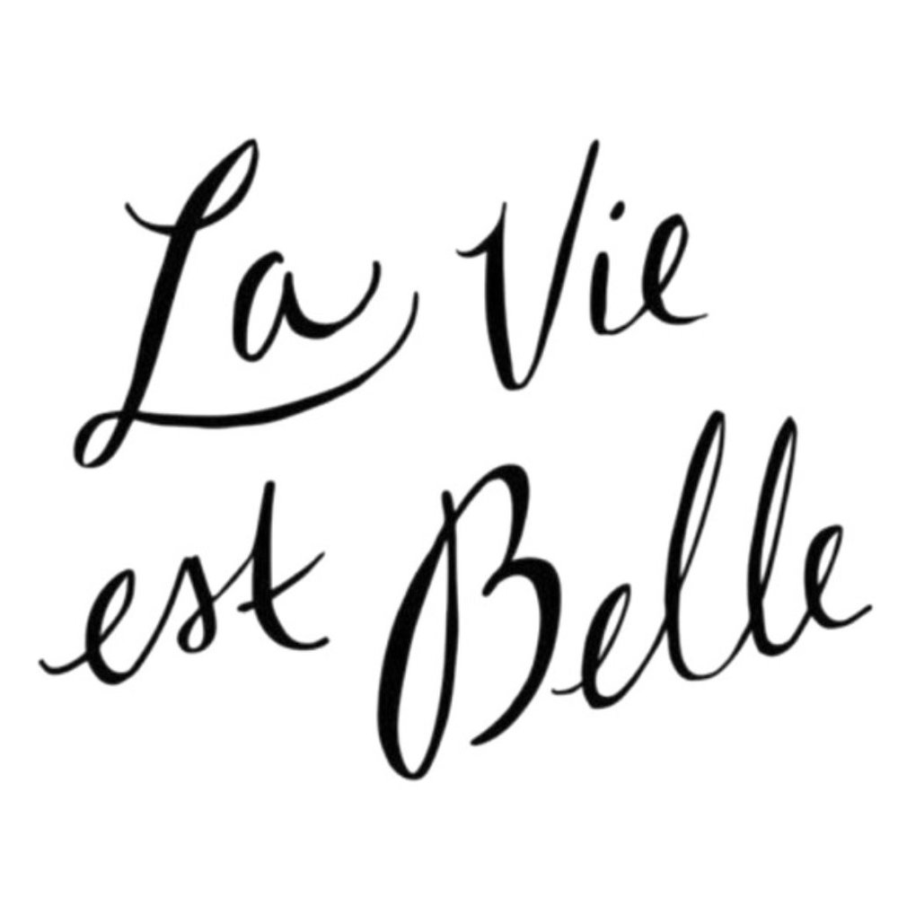 La Vie Est Vraiment Belle